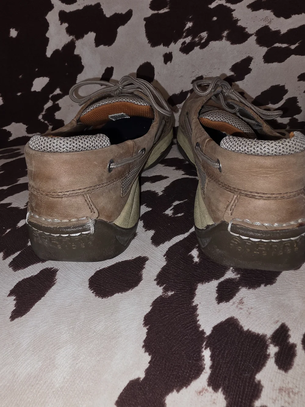 Men's Sperry Boat Shoes